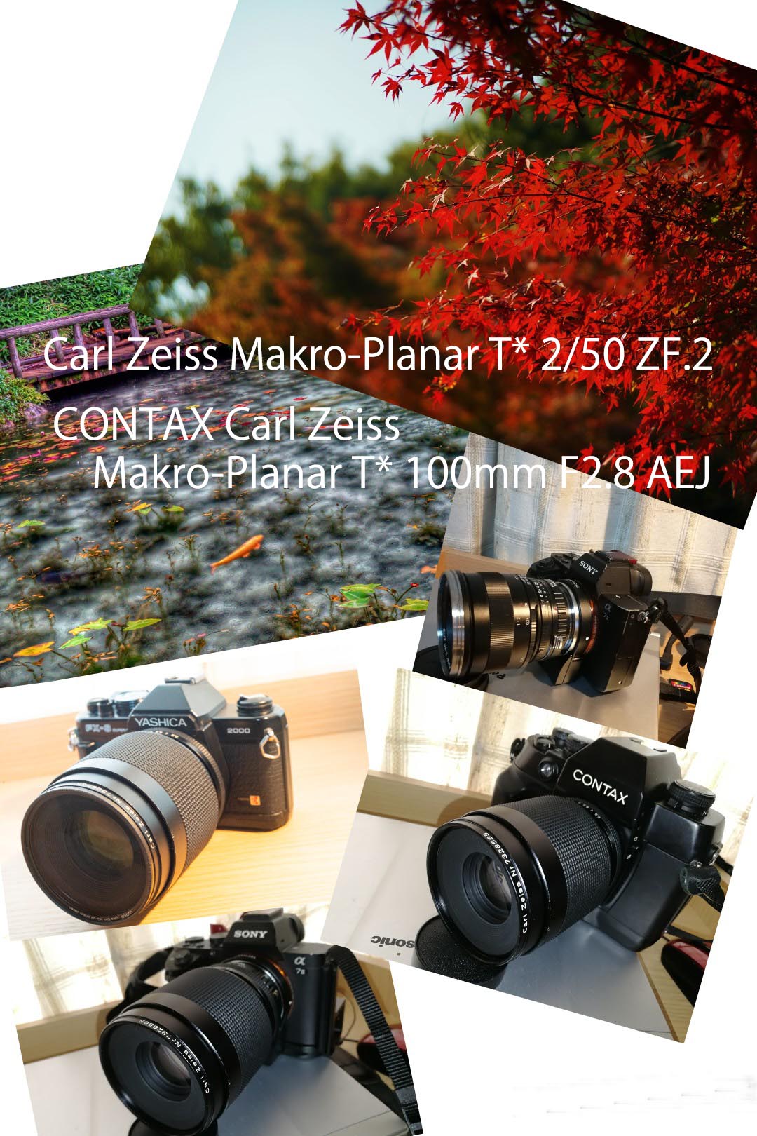 OUTLET 包装 即日発送 代引無料 contax 100mm マクロプラナー