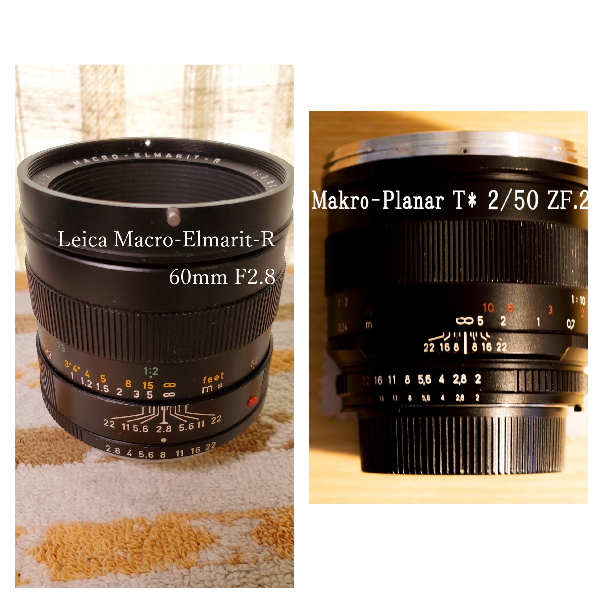 Leica Macro-Elmarit-R 60mm F2.8 の実力をマクロプラナーと比較する 